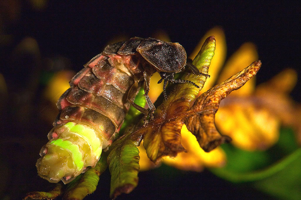 día de la seguridad de la información 1